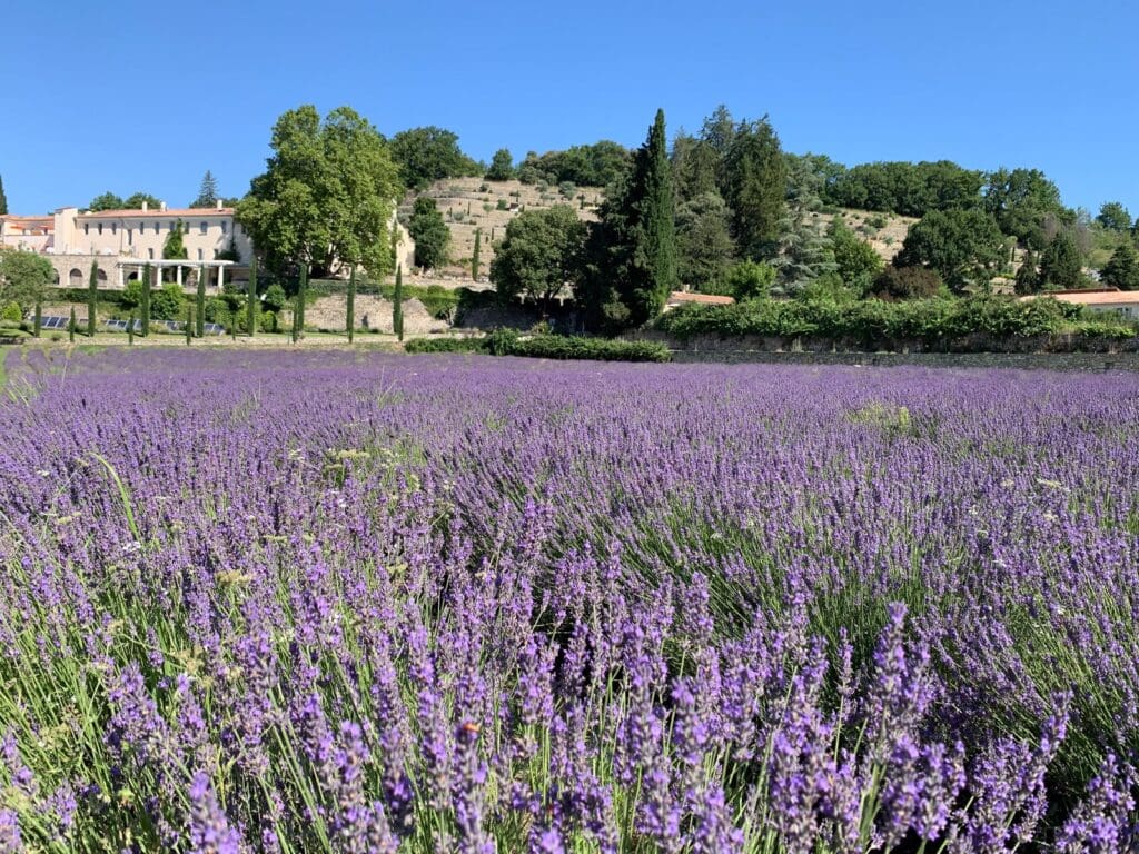 Couvent des Minimes Provence: The Convent in the Lavender