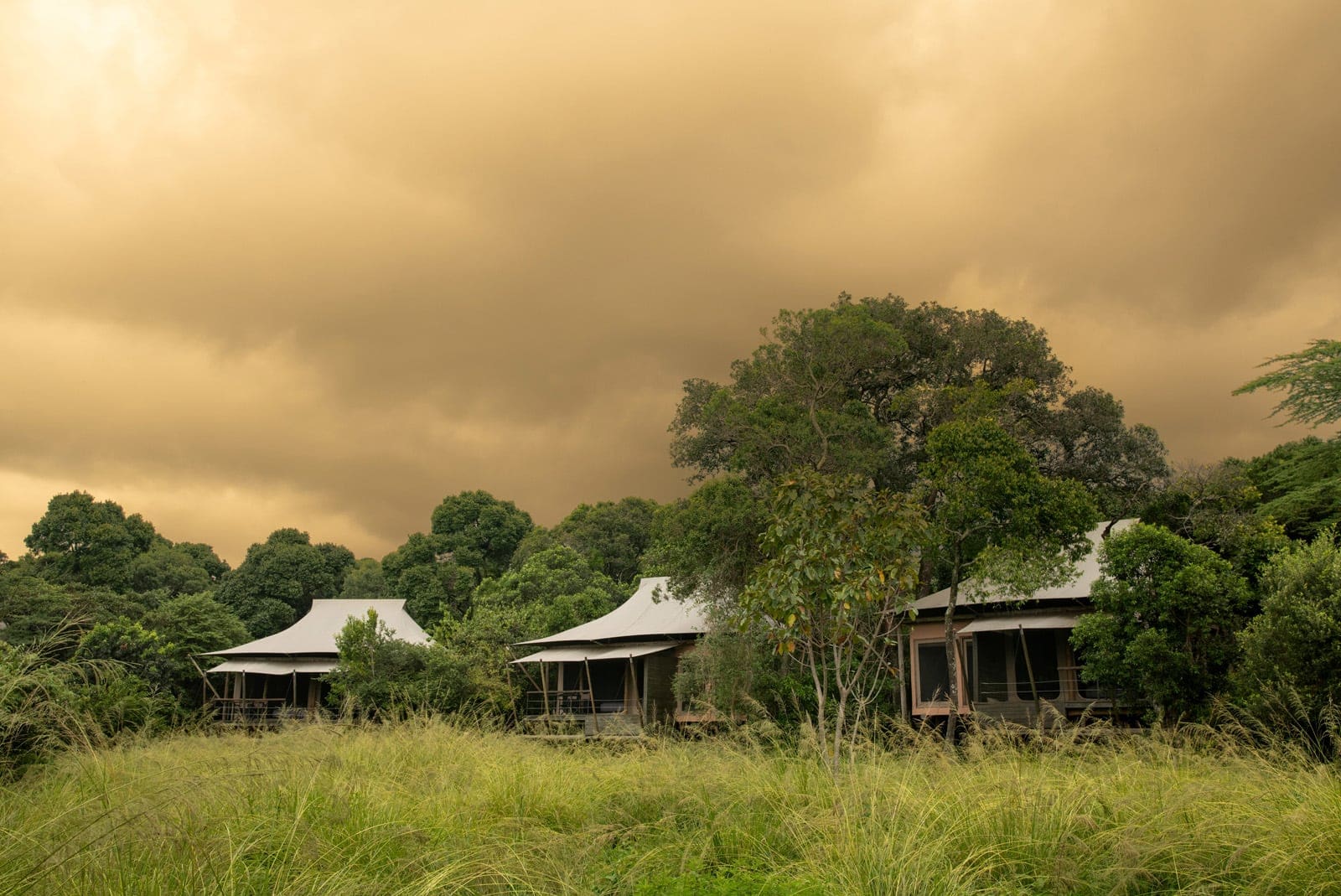 The tents at andBeyond Kichwa Tembo Tented Camp